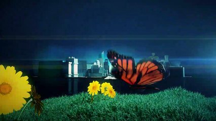 STATION ID SUARMEDIA