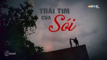 Trái Tim Của Sói Tập 1 - Phim Việt Nam