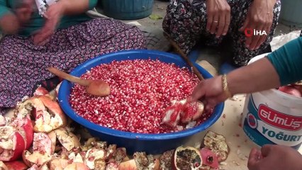 Aksekili kadınların nar ekşisi mesaisi