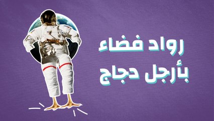 رواد فضاء بأرجل دجاج