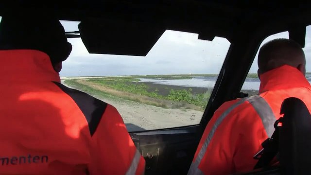 Dutch build artificial islands to bring wildlife back