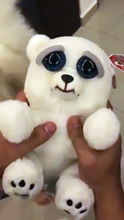 Une peluche très réelle face à ce chien