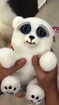 Une peluche très réelle face à ce chien