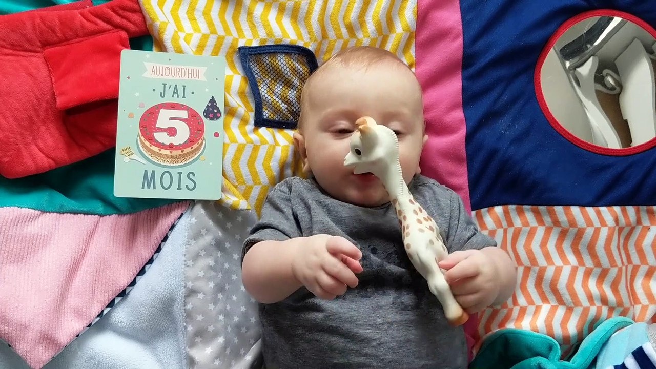 La première année d'Adam