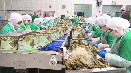 Türk Mezesi Dünya Sofralarını Süslüyor