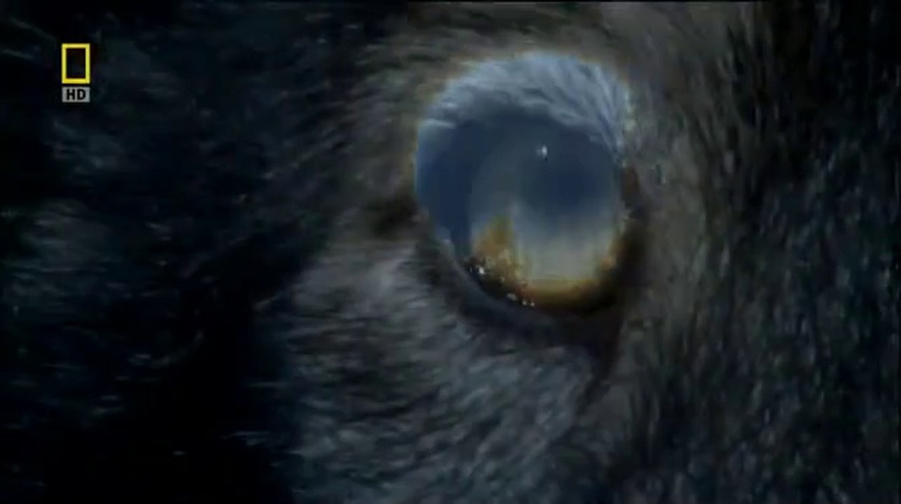 hunter-Hunted - Shadow Stalkers