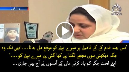 APS Martyrs mother remember her son