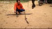 Greedy cobra spits out four eggs after falling sick
