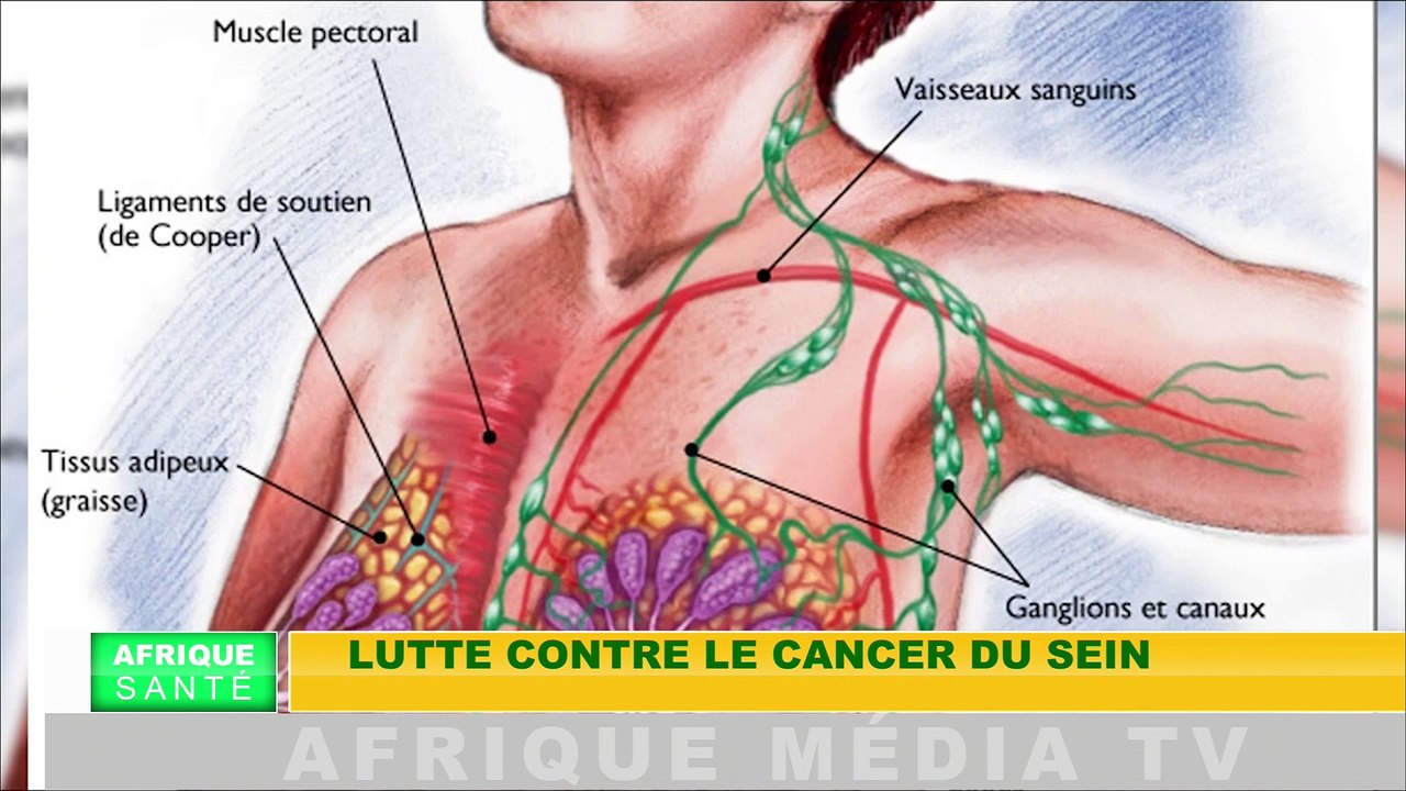 AFRIQUE SANTE  DU 13 12 2018