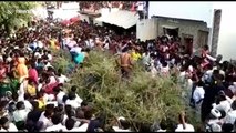 Indian villagers jump into huge pile of thorns from rooftops in bizarre ritual