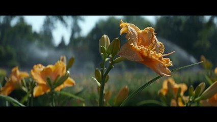 The Mule Music Video - Don-t Let the Old Man In (2018) - Movies Coming Soon