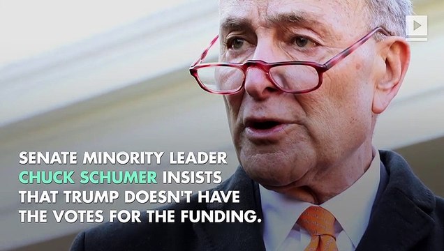 Government Shutdown Over Trump's Border Wall Looms Before the Holidays