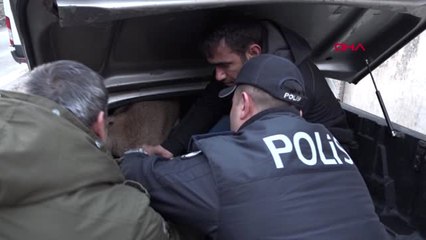 Hakkari'de Çığın Sürüklediği Dağ Keçisini Polis Kurtardı