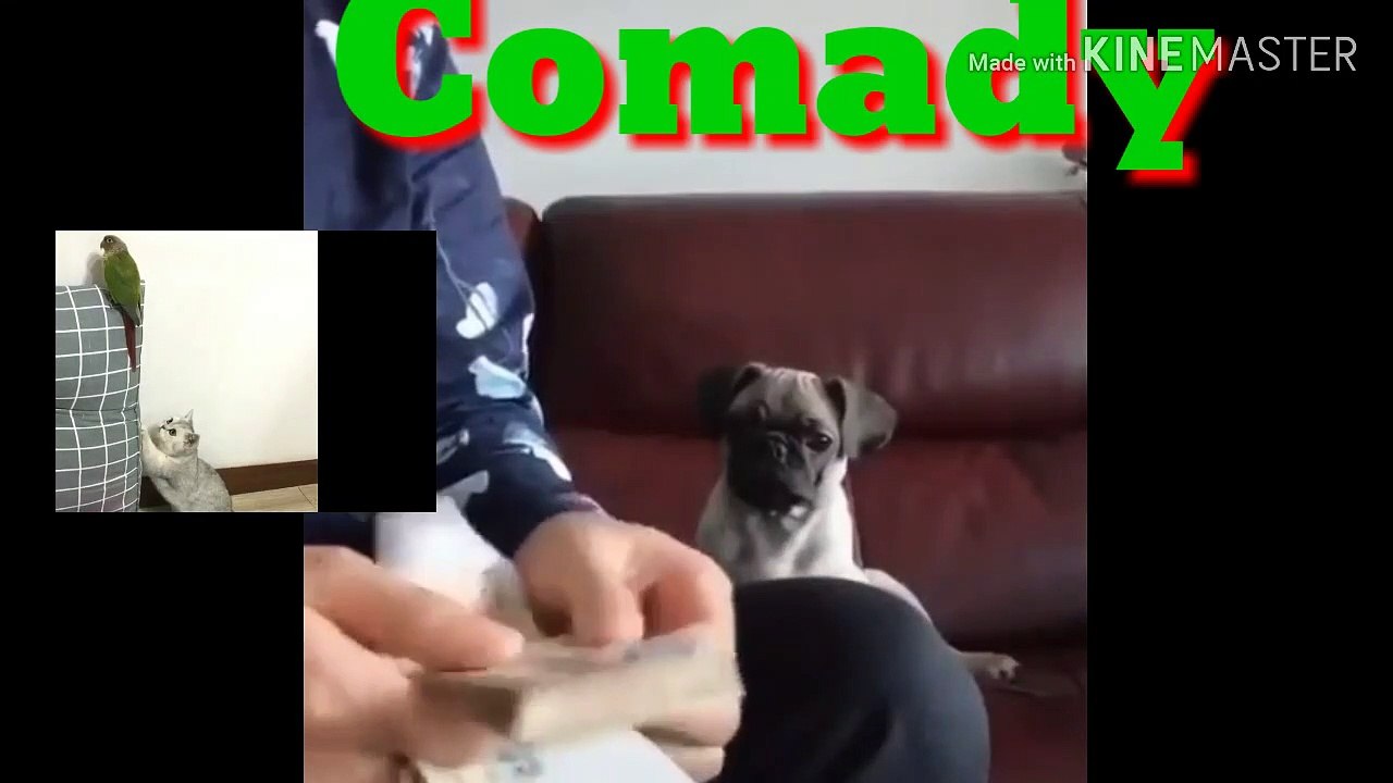 FUN COMADY