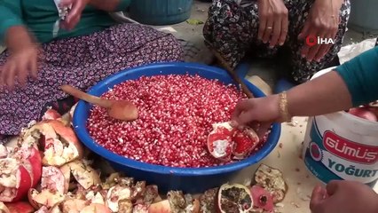 Aksekili Kadınların Nar Ekşisi Mesaisi