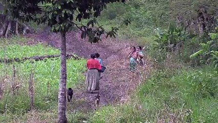 Dolor en familia de niña guatemalteca muerta tras entrar a EEUU