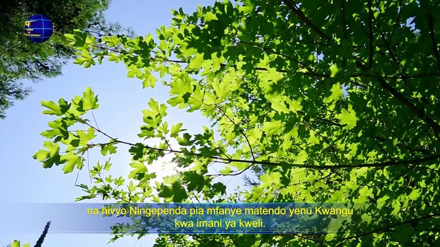 Maneno ya Roho Mtakatifu | Je, Wewe Ni Muumini wa Kweli wa Mungu?