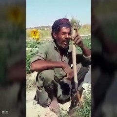 Zahirig | Balóchi gédi sawt