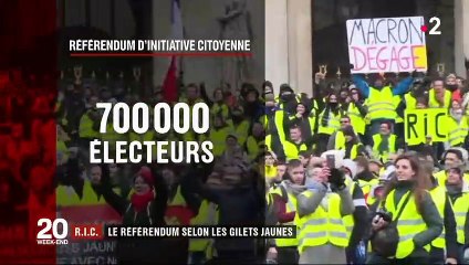 RIC : le référendum voulu par les "gilets jaunes"