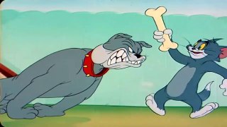 Tom and Jerry 2018  Catch Smart Mouse  Cartoon For Kids