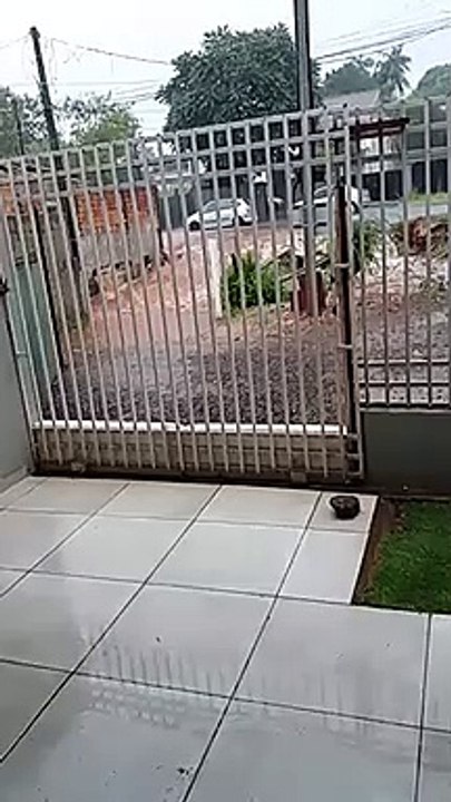 Após alagamento de rio na Neva, moradores pedem providências