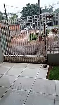 Após alagamento de rio na Neva, moradores pedem providências