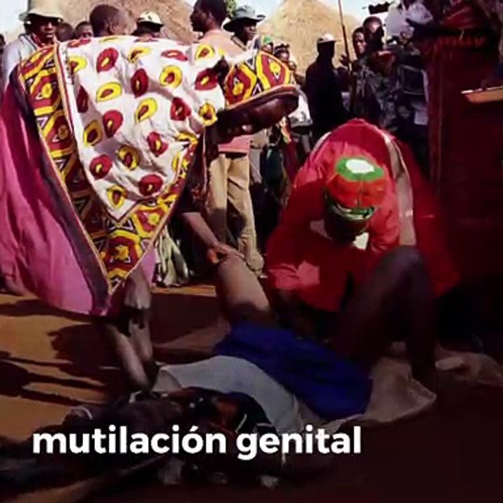 Datos sobre la violencia de género