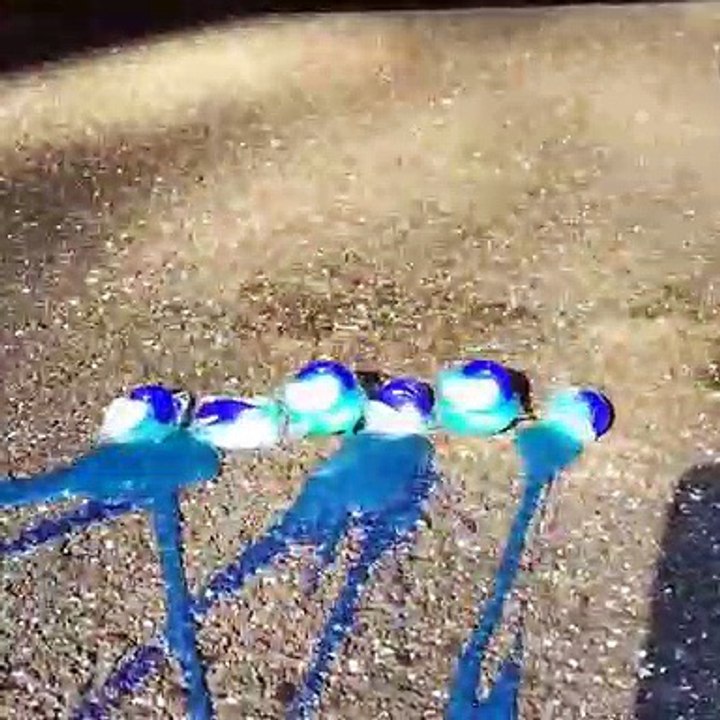 Running over Crunchy and Soft Things by Car! - Floral Foam, Tide Pods and More!