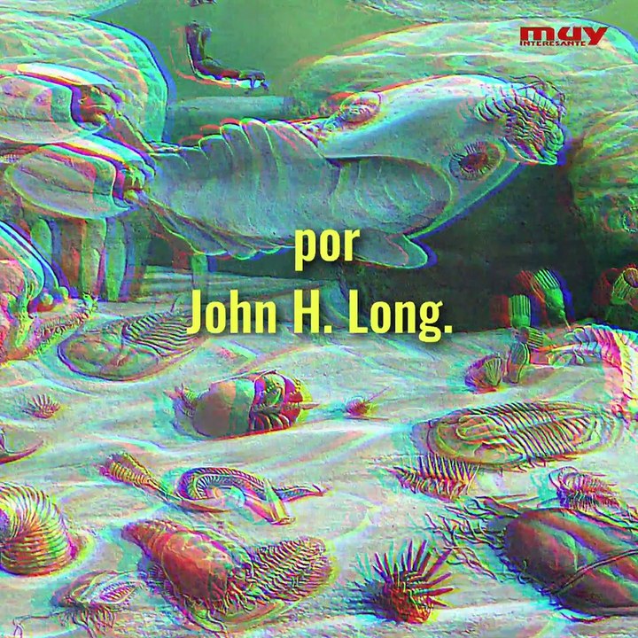 Entrevista a John Long parte 2