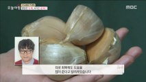 [LIVING] Giant Garlic has doubled its nutritional value and 10 times its size!,생방송 오늘 아침 20181217