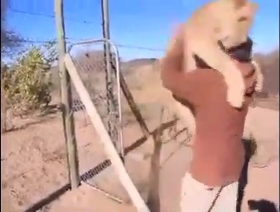 A man and a lion