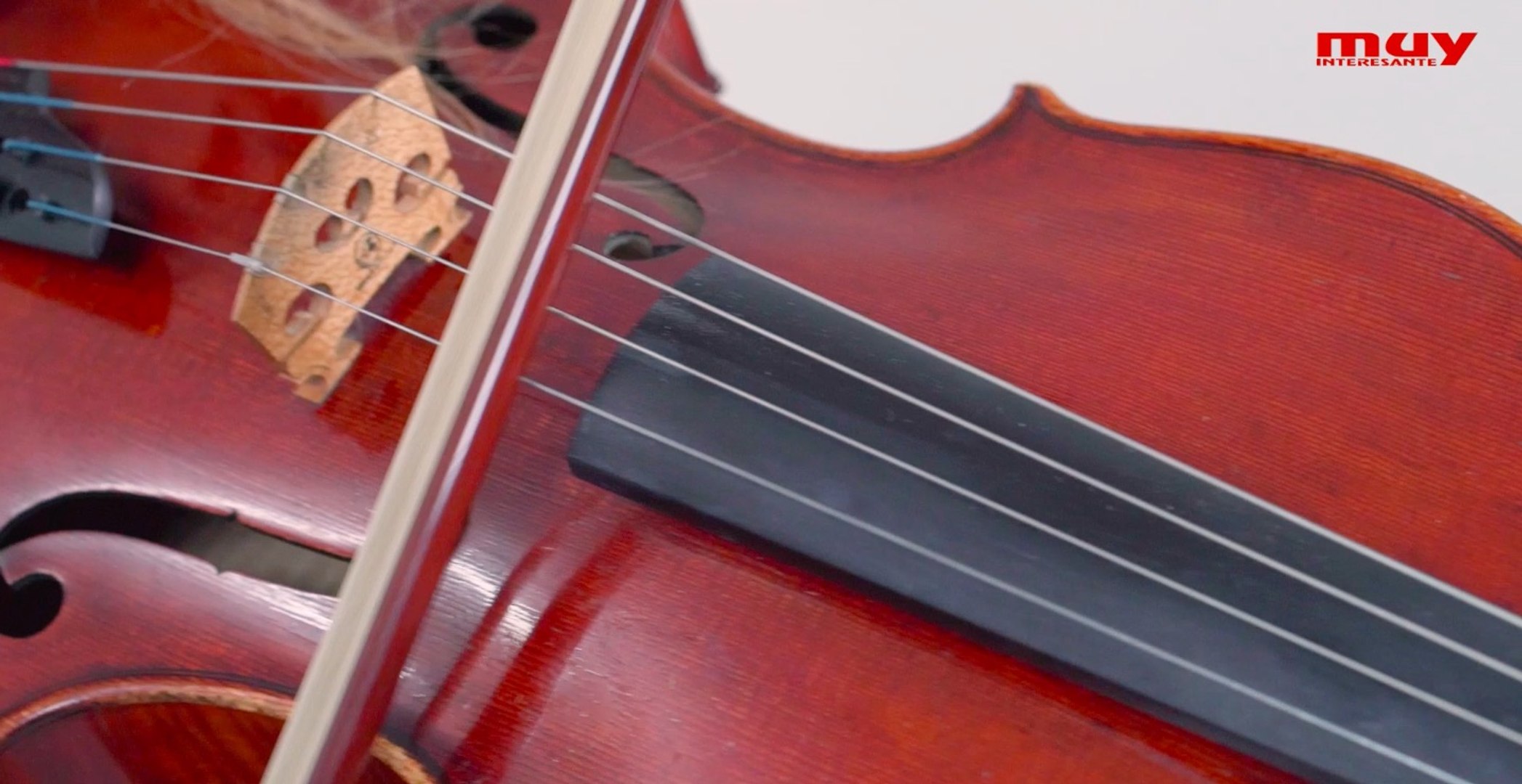 ⁣Instrumentos 'unplugged' 3 -Viola