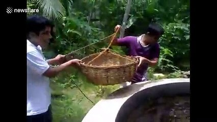 Cat runs up 35-feet well after rescuers struggle to pull her up