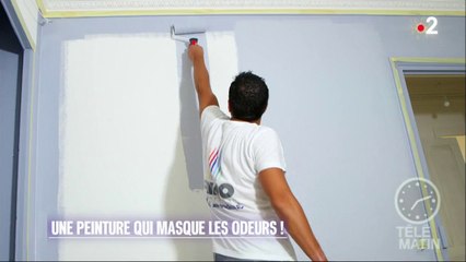 Bricolage - Une peinture qui masque les odeurs !