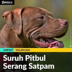 #1MENIT | Suruh Pitbul Serang Satpam