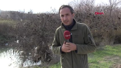 Suriye-Münbiç Sınırında Pyd Mevzilerinin Üzerinde Uçan Amerikan Helikopterleri Görüntülendi