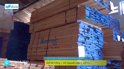 GỖ SỒI TRẮNG (WHITE OAK) - PHÂN PHỐI GỖ NGUYÊN LIỆU - GOAAU.COM