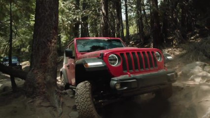 جيب رانغلر تحصل على جائزة مركبة العام بفئة الدفع الرباعي/SUV للسنة التاسعة على التوالي