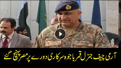 Video herunterladen: COAS Gen Qamar Bajwa arrives in Egypt: ISPR