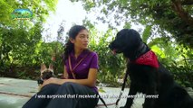 Alagang Magaling S10 Ep13 - Pet Options - Genevieve Reyes