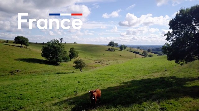 Clip : Made in France, Made for you