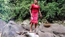Survival skills- Catch big fish 5 Kg by hand in waterfall - Cooking big fish eating delicious #20