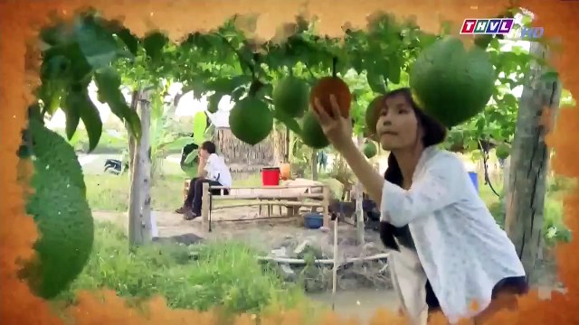 Ngậm Ngùi Tập 30 ~ Tập Cuối ~ Phim Việt Nam THVL1 ~ Phim Ngam Ngui Tap 30 ~ Ngam Ngui Tap 31 ( tap Cuoi)