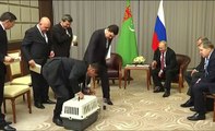 Vladimir Poutine fait montrer à ce président comment on tient un petit chiot !
