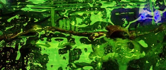 Sequence Break (2017) Scarys, Flashings, Hallucinatorys and  Deaths