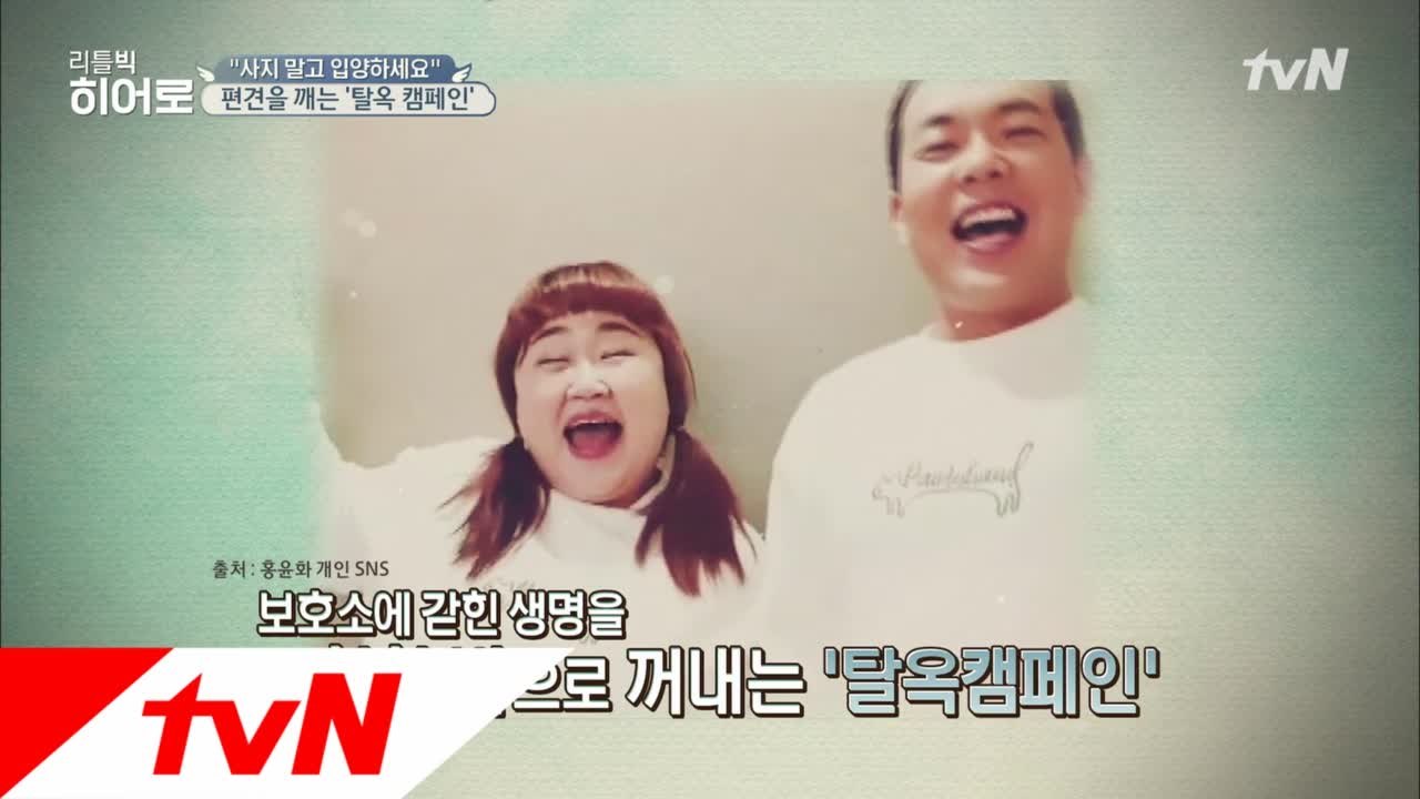 "사지 말고 입양하세요", 유기동물을 위한 캠페인
