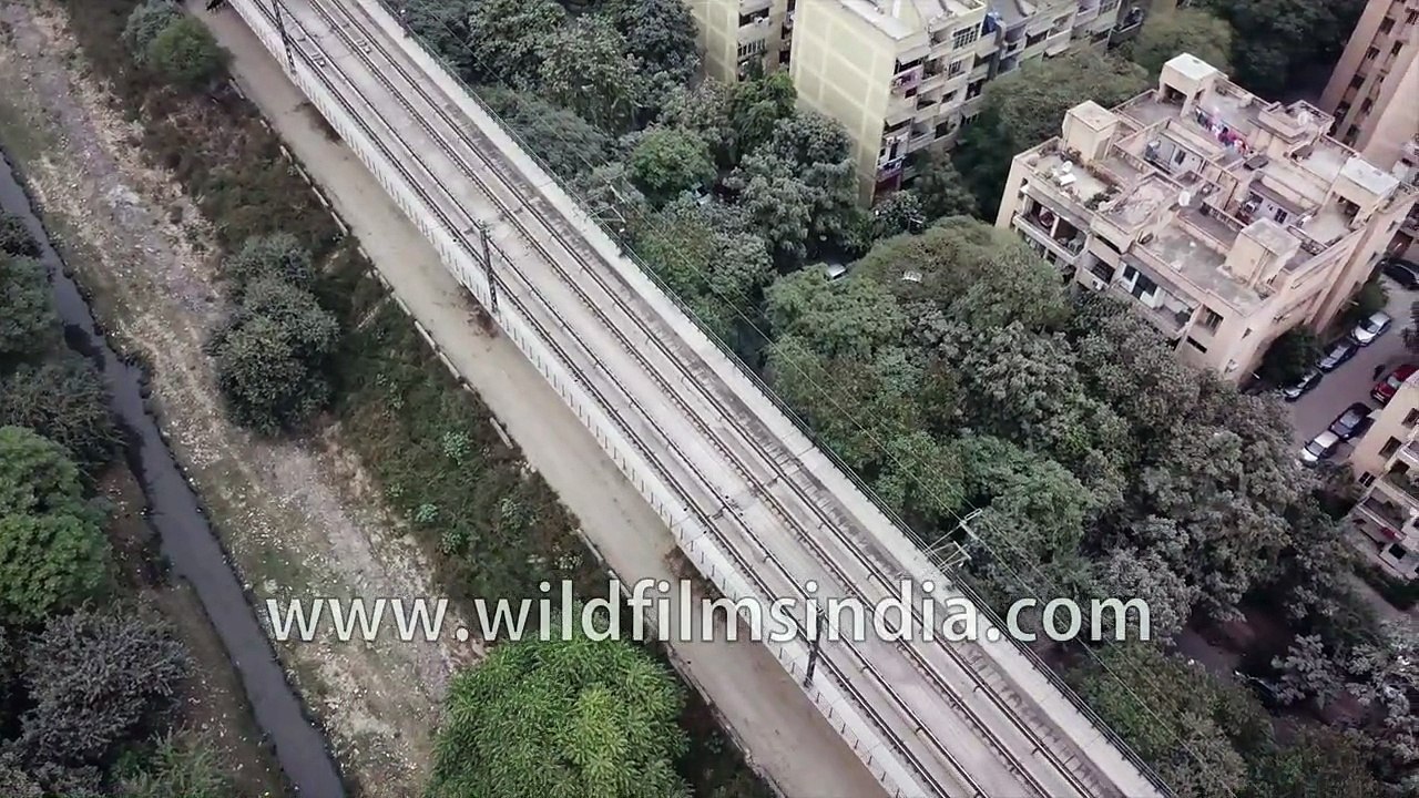 Moving around Delhi- Metro Train