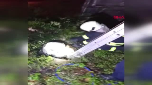 Muğla Su Dolu Çukura Düşen Köpek Kurtarıldı