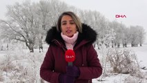 Erzurum Doğu Anadolu'da Sis ve Dondurucu Soğuk Etkili Oluyor