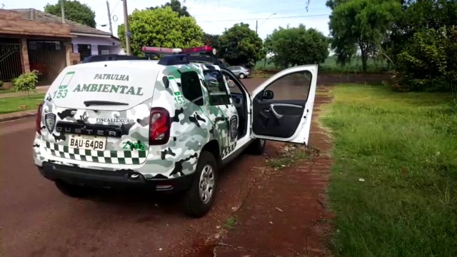 Patrulha Ambiental apura denúncia de maus tratos a animais
